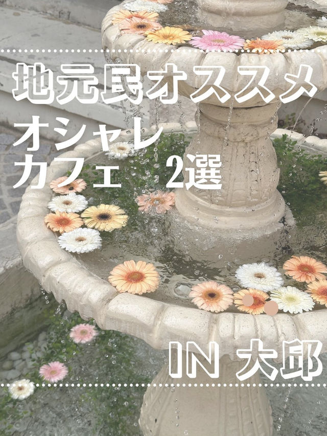 【地元民人気】大邱で行きたいカフェ　2選☕️🍰