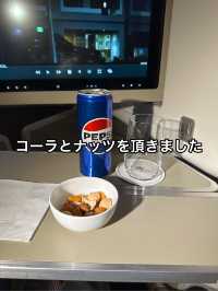 【成田→ハノイ】ビジネスクラス搭乗記＆ハノイ国際線→国内線移動
