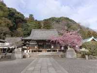 京都旅行　嵐山公園
