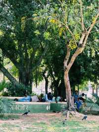 🌳✨【都会の真ん中に癒しのオアシス】 セントラルパーク – Central Park, Connaught Place