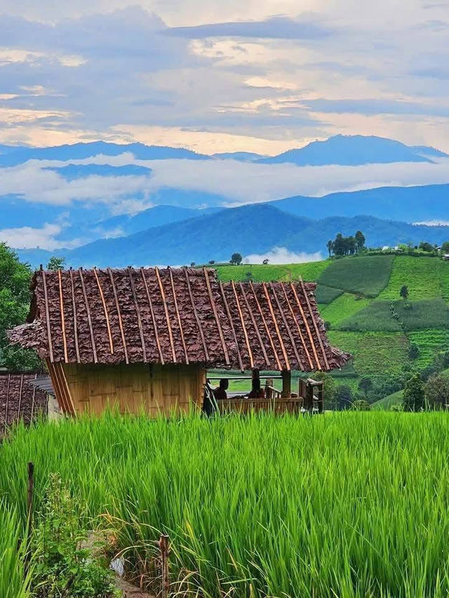 静かな山の街、チェンマイで心の声に耳を澄ます旅を。🌄🧘‍♀️☕️