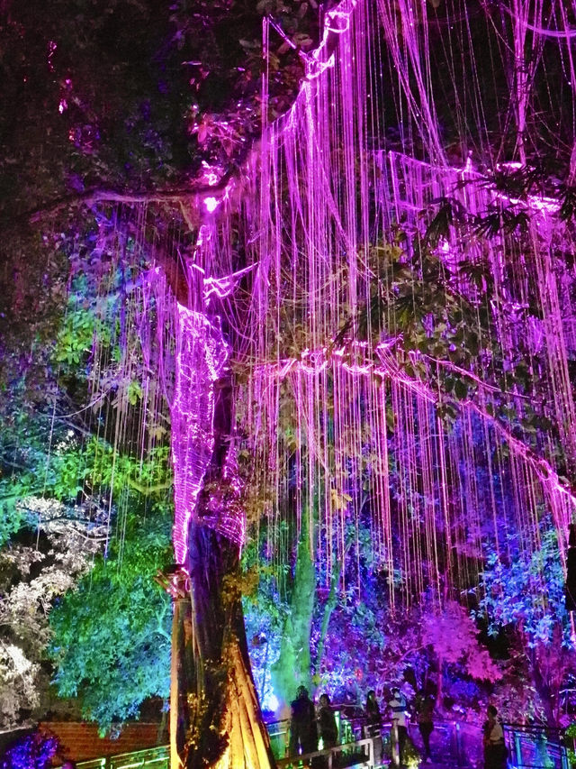 Where Twilight Transforms Trees: Penang’s Avatar Secret Garden 