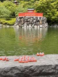 終於來到我夢寐以求的勝尾寺
