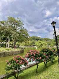 Urban Serenity Found: A Stroll to Goose Island in KL’s Green Heart