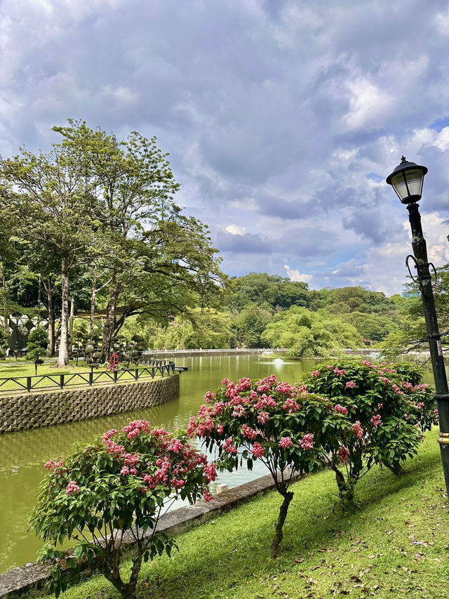 Urban Serenity Found: A Stroll to Goose Island in KL’s Green Heart