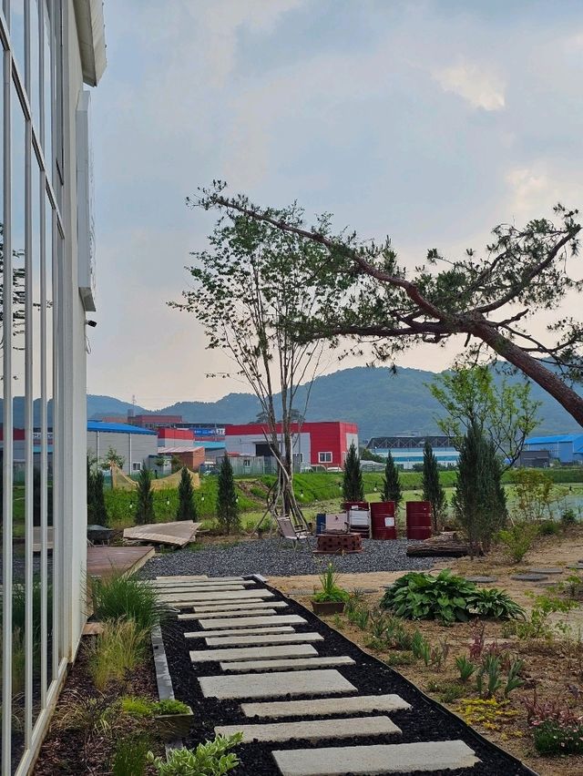🌿 푸릇하고, 알록달록🌷한 플랜테리어 카페 