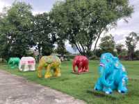 Elephant Parade ❤️ Mosha