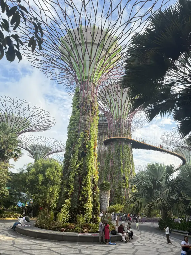 滿滿行程一點沒耽誤的新加坡之旅！