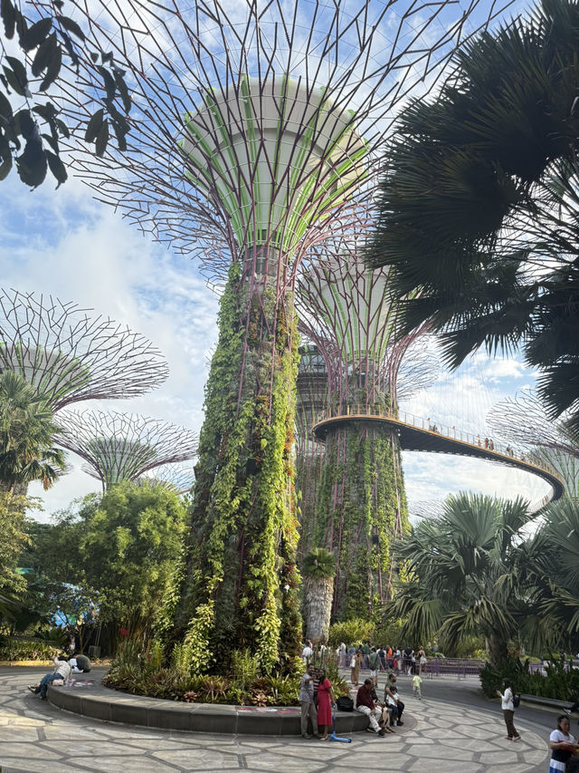滿滿行程一點沒耽誤的新加坡之旅！