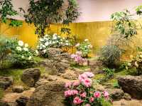 【島根県】 山陰最大級の池泉回遊式日本庭園『由志園』