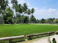 Exploring the hidden gem of Kampong Agong!