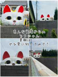 常滑市のとこにゃんに会いに行こう！