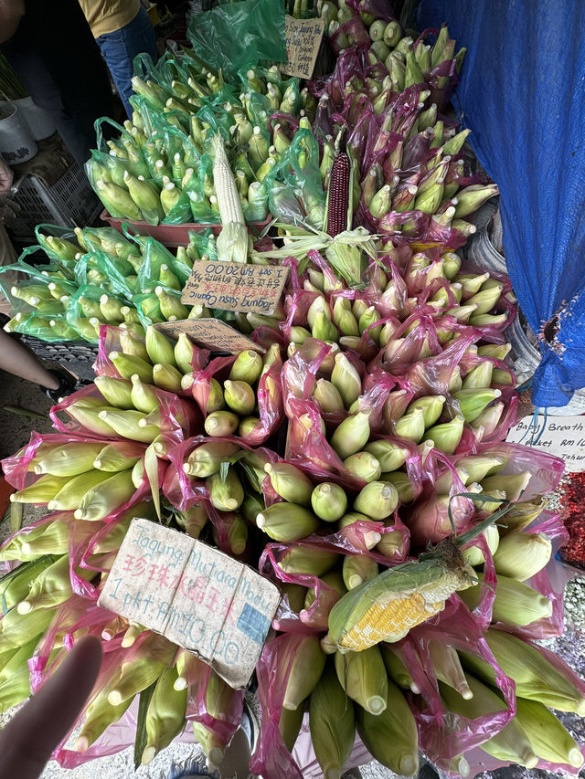 金馬崙啦喂