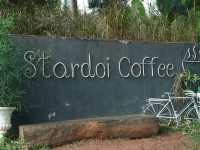 จิบกาแฟให้อาหารแกะบนเนินเขากลางสายหมอก