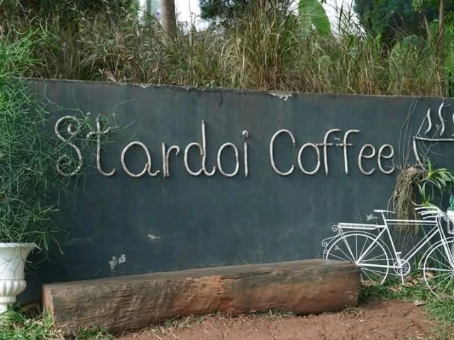 จิบกาแฟให้อาหารแกะบนเนินเขากลางสายหมอก
