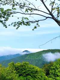 A Must-do Experience: Mt. Mitake Temple Dinner