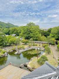 【大阪】池田城跡公園で静かなひと時🪷