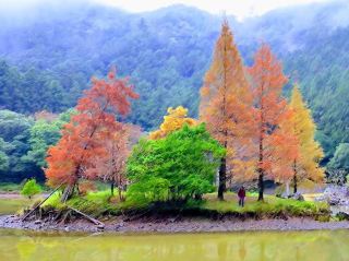 Yilan｜Mingchi Forest Recreation Area