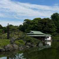 🌿 Thought Tokyo Couldn’t Get Any More Beautiful… Until I Found This Place