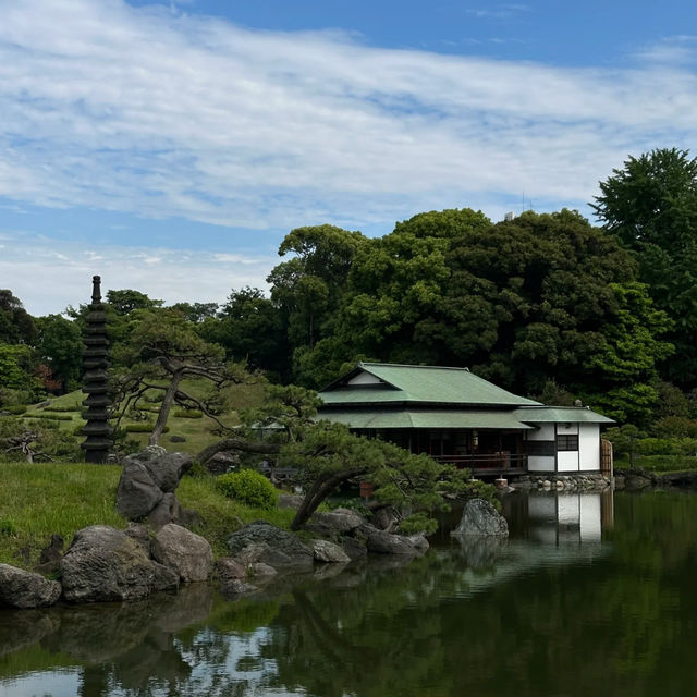 🌿 Thought Tokyo Couldn’t Get Any More Beautiful… Until I Found This Place
