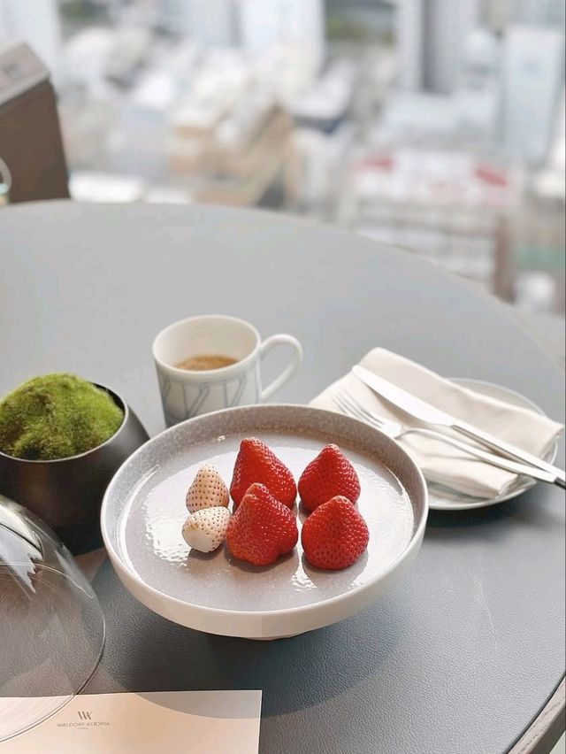 Namba Oriental Hotel – In the Heart of Downtown Osaka 🏙️🍜