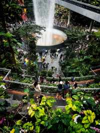 A Mesmerizing Oasis – Jewel Changi’s Rain Vortex