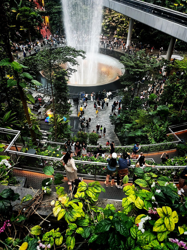 A Mesmerizing Oasis – Jewel Changi’s Rain Vortex