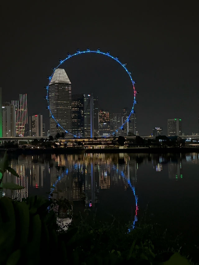 Night Walks & Glowing Trees – Gardens by the Bay After Dark! 