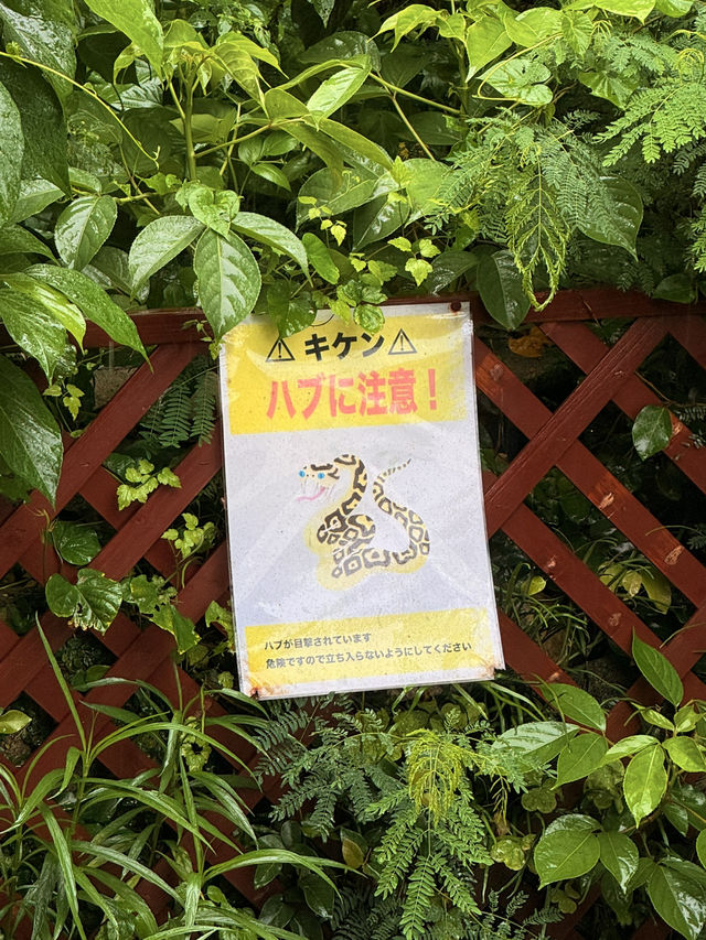 沖繩｜在幼稚園旁有蛇出沒的安里八幡宮 是糖糕丘古戰場