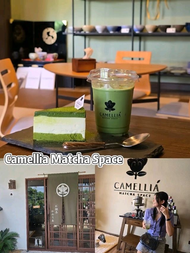 Camellia Matcha Space