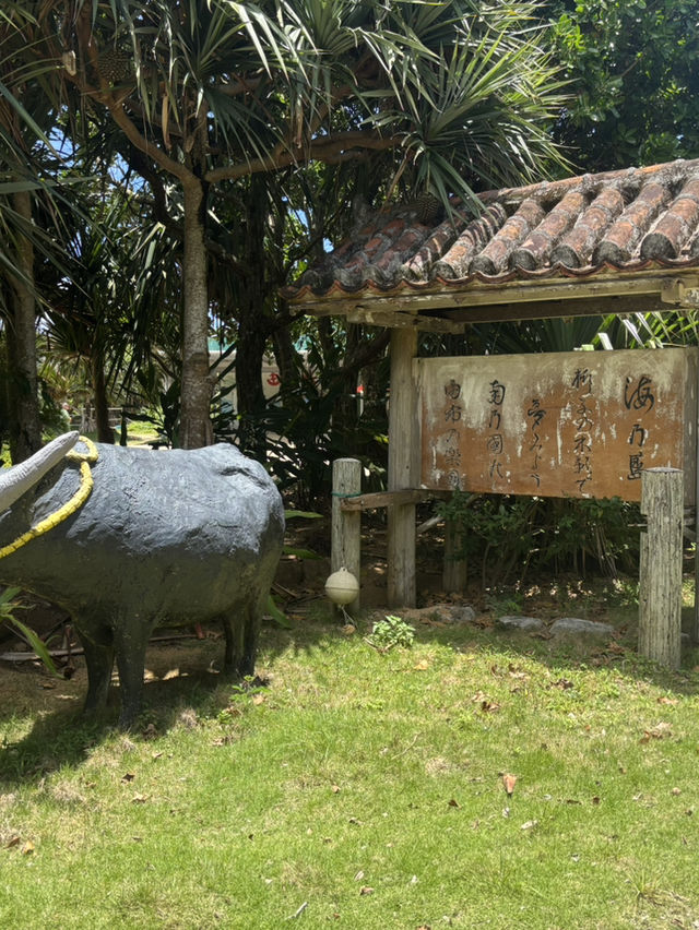 西表島から由布島へ