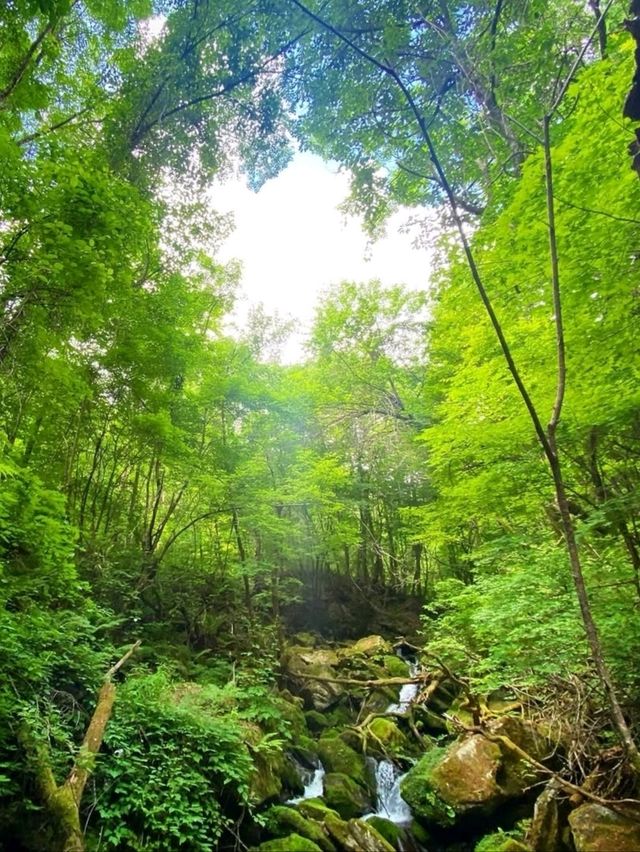 Nature’s Way of Roasting Your Legs