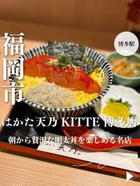 【福岡・博多駅】朝から贅沢な明太丼を楽しめる名店「はかた天乃 KITTE 博多店」