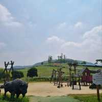 Belle Foret Farm