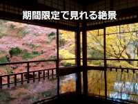 【京都】期間限定　瑠璃光院
