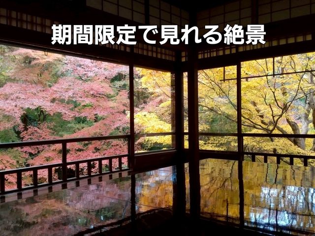 【京都】期間限定　瑠璃光院