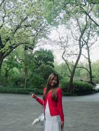  Hangzhou Botanical Garden