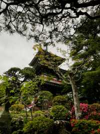 仙台　輪王寺に行くべき5つの理由🇯🇵✈️🌎