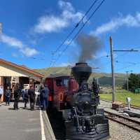 Christchurch Weekend Getaway: Day Trip to a Retro Town! 🚂🕰️