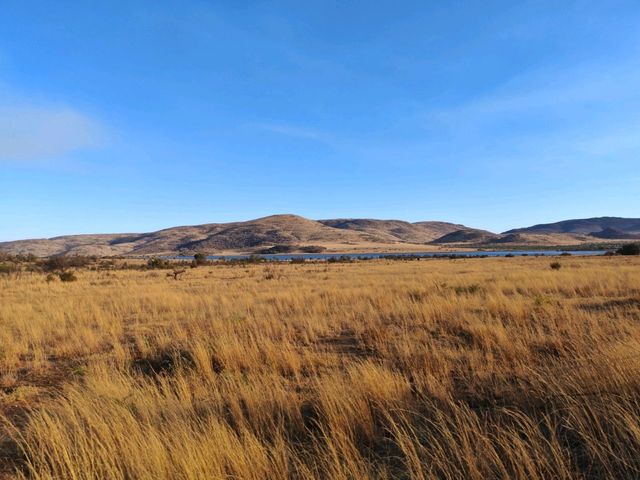 Hello,South Africa