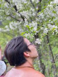 คามิโคจิ” (Kamikōchi)