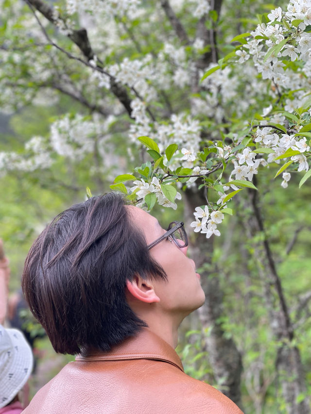 คามิโคจิ” (Kamikōchi)