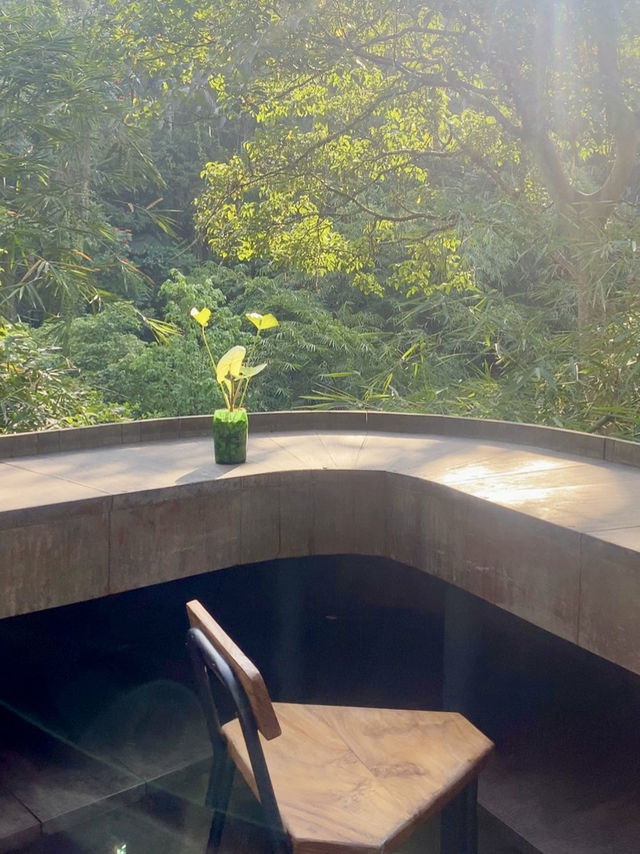 While Are You Here- My Jungle Café Dream in Bali 