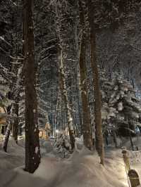 A Fairytale in the Forest: My Magical Visit to Ningle Terrace