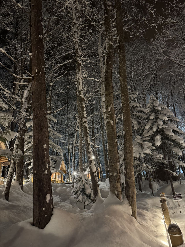 A Fairytale in the Forest: My Magical Visit to Ningle Terrace