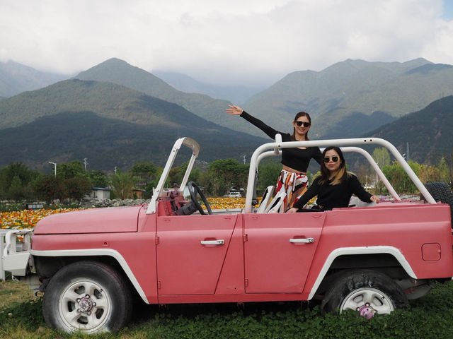 🌼 Huayu Ranch (花语牧场), Dali – A Flower Wonderland 
