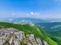 Hidden Forest Feels at Choamsan