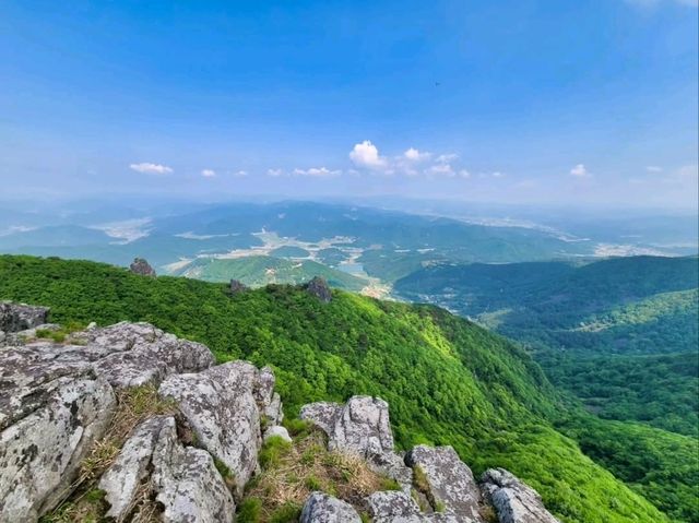 Hidden Forest Feels at Choamsan