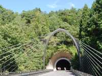 【滋賀🇯🇵】大自然の中にある美術館MIHO MUSEUM