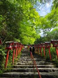 รีวิวปีนเขาคิฟุเนะ Kifune ในเกียวโต